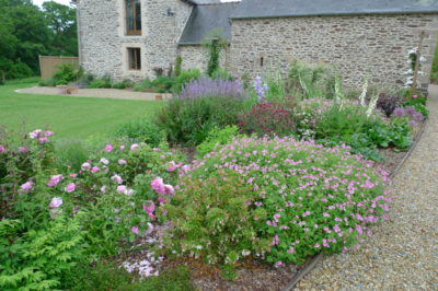 Ameline Arbora Paysagiste jardin anglais fleuri dinan Ameline Arbora Paysagiste jardin anglais fleuri dinan