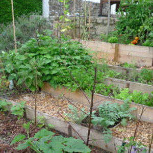 Ameline Arbora Paysagiste dinan potager