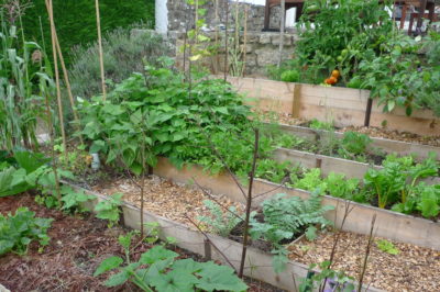 Ameline Arbora Paysagiste potager retenue de terre dinan Ameline Arbora Paysagiste potager retenue de terre dinan