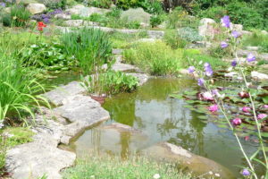Ameline Arbora Paysagiste dinan eau et lumière