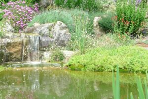 Ameline Arbora Paysagiste dinan eau et lumière