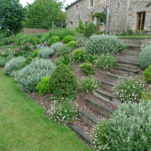 Ameline Arbora Paysagiste escalier bois jardin corseul- escaliers-murets