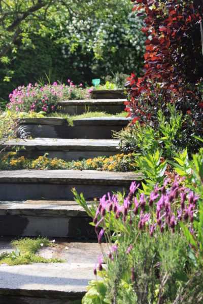 Ameline Arbora Paysagiste escalier jardin dalle de granit Ameline Arbora Paysagiste escalier jardin dalle de granit