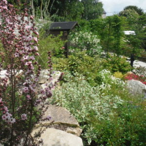 Ameline Arbora Paysagiste aménagement de jardin