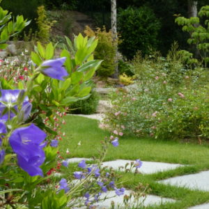 ameline arbra aménagement jardin fleuri dinan