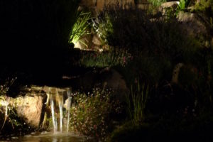Ameline Arbora - Bassin et jardin illuminé (Côtes-d'Armor)