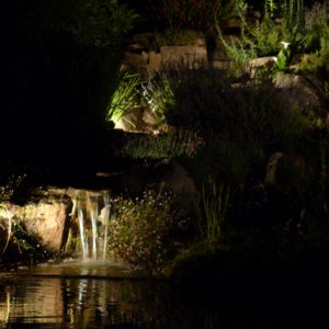 Ameline Arbora - Bassin et jardin illuminé (Côtes-d'Armor)