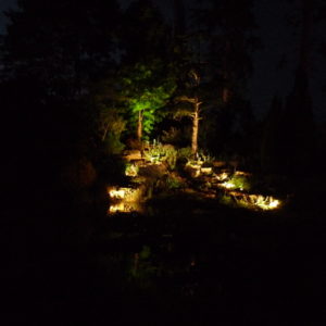 Ameline Arbora - Illumination jardin de nuit (Côtes-d'Armor)