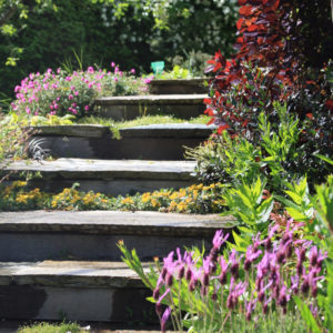 Ameline-Arbora-Escalier-Jardin