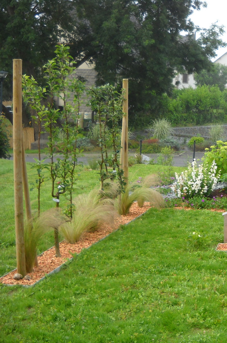 Un jardin nourricier au pied de vos fruitiers : les bonnes