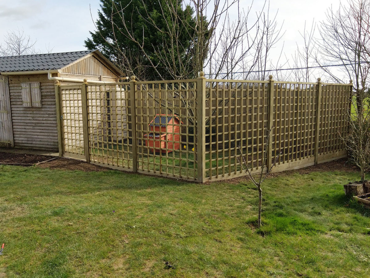 Potager, arbres fruitiers et poulailler