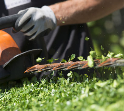 entretien jardin brest plougastel relecq bmo guipavas (40) bd