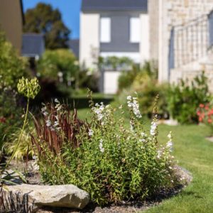 Ameline Arbora Paysagiste aménagement de jardin