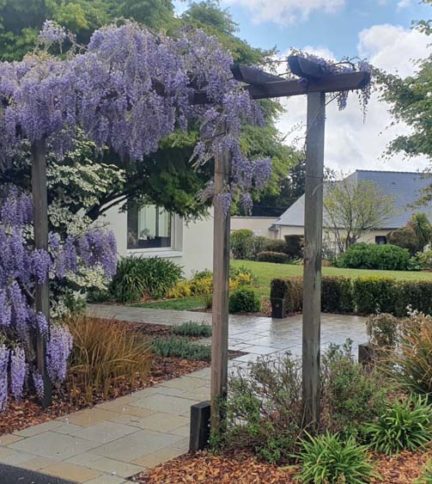 tonnelle, pergola, voilage - Ameline Arbora paysagiste Dinan