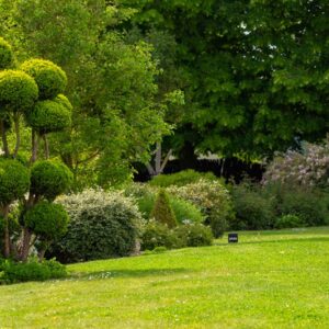 Ameline Arbora Paysagiste dinan ambiance vegetale