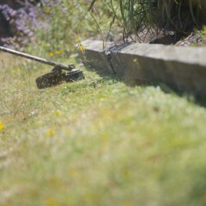 Ameline Arbora Paysagiste dinan entretien et soin de jardin