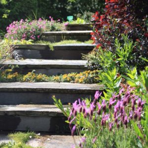 escalier de jardin Ameline Arbora paysagiste