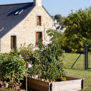 arbres fruitiers - potager - poulailler - Ameline Arbora paysagiste Côtes d'Armor