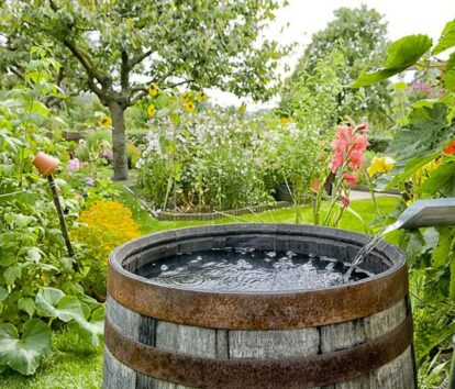 récuperateur eau de pluie - Ameline arbora paysagiste dinan