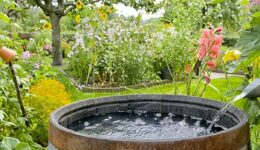 récuperateur eau de pluie - Ameline arbora paysagiste dinan