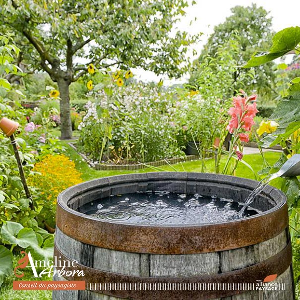 récuperateur eau de pluie - Ameline arbora paysagiste dinan