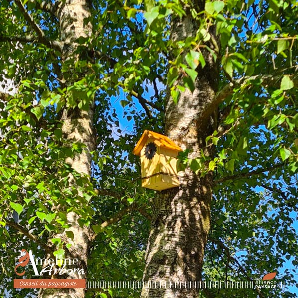 ameline arbora, paysagiste sur Dinan, installe des nichoirs pour les oiseaux