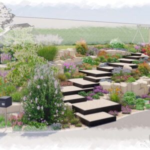 Ameline arbora - projet d'aménagement de jardin - bureau d'études