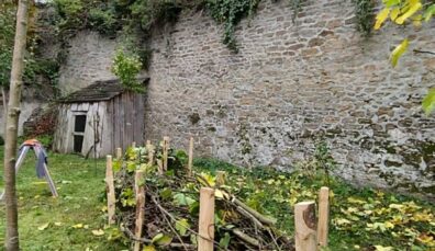 haie sèche ou haie de Benjes par Ameline Arbora paysagiste près de Dinan