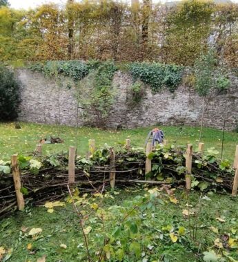 haie sèche ou haie de Benjes par Ameline Arbora paysagiste près de Dinan