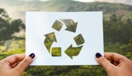 thumbnail-journee-mondiale-recyclage-ameline-arbora-paysagiste-dinan