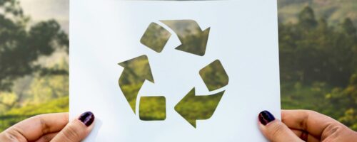 thumbnail-journee-mondiale-recyclage-ameline-arbora-paysagiste-dinan