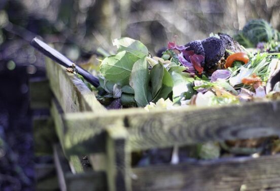 Déchets organiques compost - Ameline Arbora paysagiste Dinan