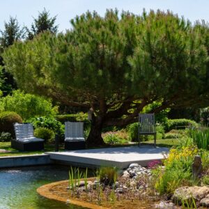 bassins, abords piscine, eau et lumière dans le jardin avec Ameline Arbora