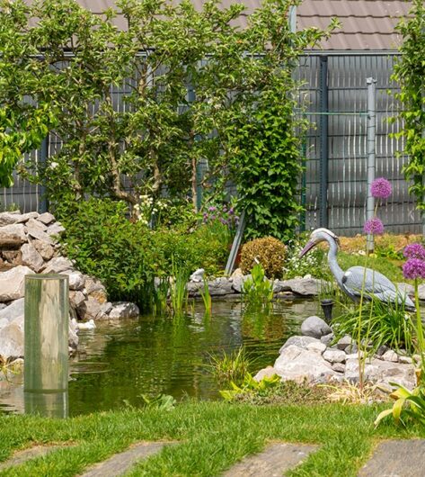 bassins, abords piscine, eau et lumière dans le jardin avec Ameline Arbora