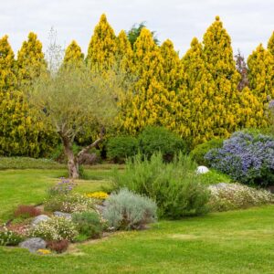 entretien de jardin - jardinier - paysagiste dinan - taden - trelivan (7)