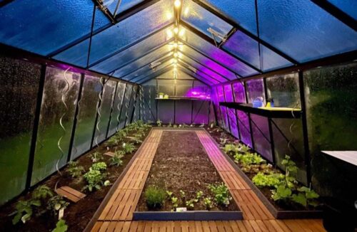 serre-ameline-arbora-installation-vente (23)