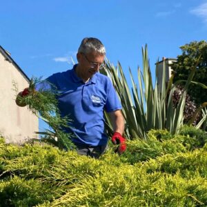 Ameline Arbora, entretien et soin de jardin - Dinan, Taden, St Samson...