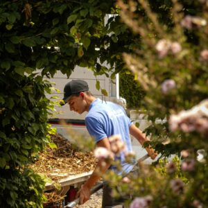 entretien-de-jardin---jardinier---paysagiste-dinan---taden---trelivan-27