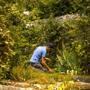 entretien-de-jardin---jardinier---paysagiste-dinan---taden---trelivan-29