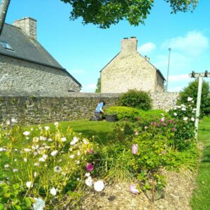 Ameline Arbora, entretien et soin de jardin - Dinan, Taden, St Samson...