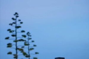 luminaire solaire jardin paysagiste ameline arbora dinan taden quevert (1)