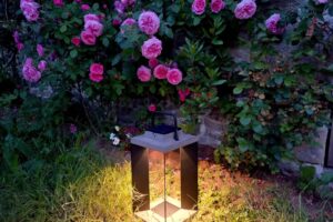 luminaire solaire jardin paysagiste ameline arbora dinan taden quevert (3)