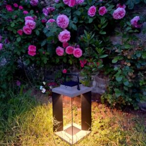 luminaire solaire jardin paysagiste ameline arbora dinan taden quevert (3)