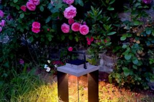 thumbnail-lumiere-jardin-solaire-ameline-arbora-paysagiste
