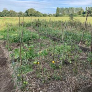 les homards raisonnes jardin