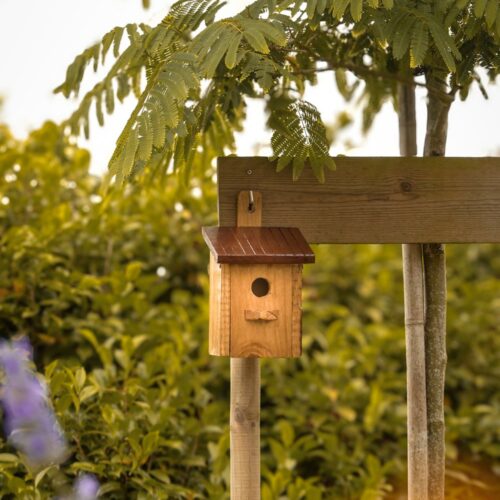 Biodiversité