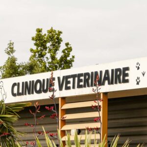 Clinique véto (1)