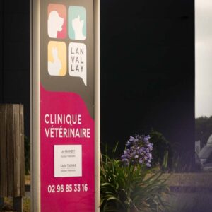 Clinique véto (5)