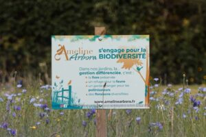 entretien espaces verts entreprise collectivité syndic paysagiste dinan dinard st malo (19)