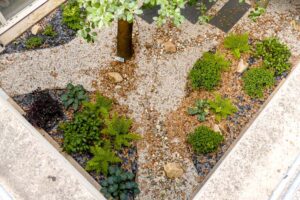 paysagiste creation espaces verts pour entreprise collectivité (8)